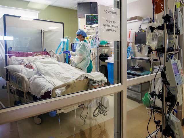 Coronavirus Photos Inside A Florida Hospital Show Doctors And Nurses At Work