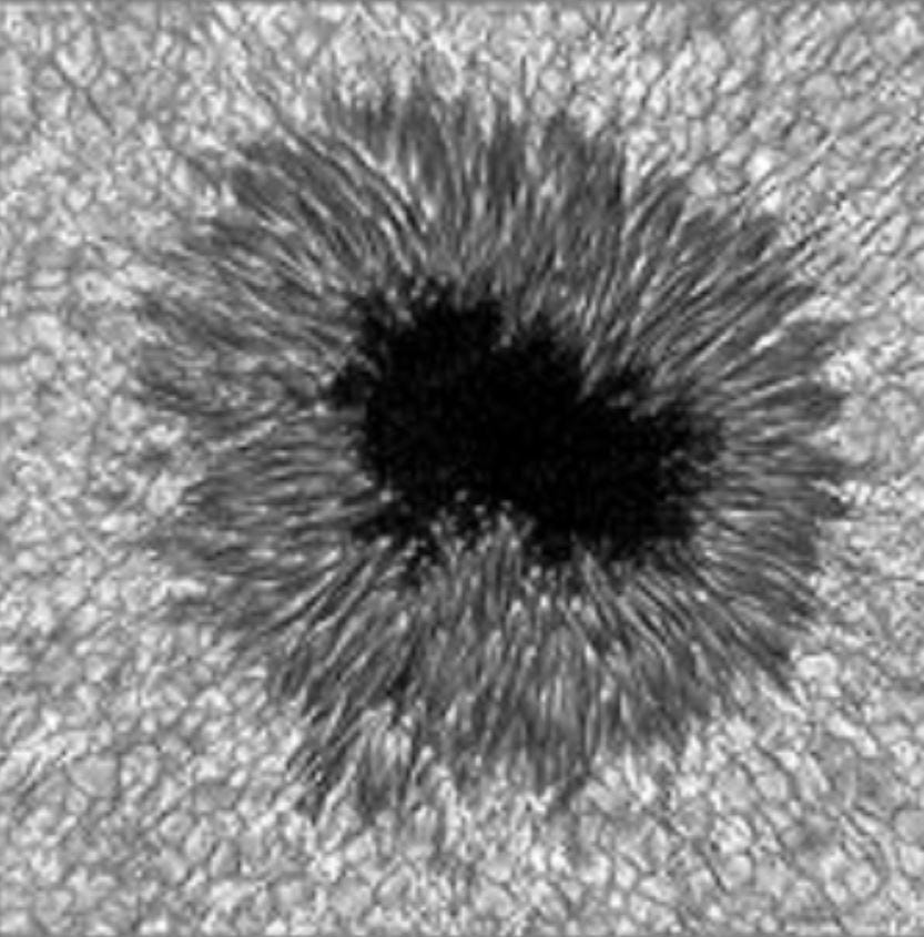 High-resolution image of a sunspot captured at NSF's Dunn Solar Telescope. A sunspot is formed as a result of the internal magnetic field bursting through the visible surface of the sun. They appear dark because of their lower temperature and brightness in comparison to the rest of the sun's surface.