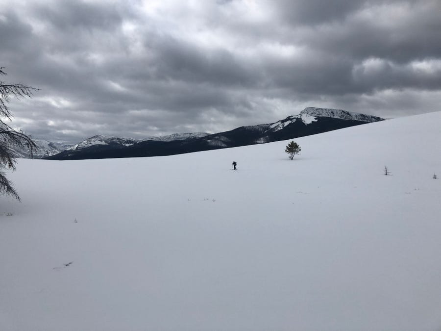 Alex Brooks, part of a snow survey team, skis above the North Fork of Sun River in the Helena-Lewis and Clark National Forest in Montana.