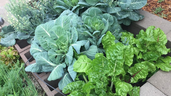 Patio Makeovers On A Budget Diy Ways To Refresh Your Outdoor Space