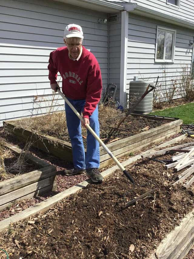 How To Start A Vegetable Garden In Upstate New York