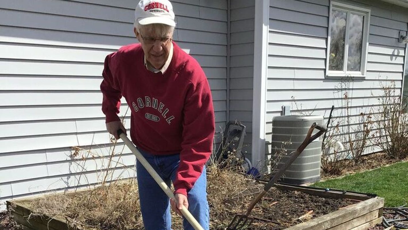 How To Start A Vegetable Garden In Upstate New York