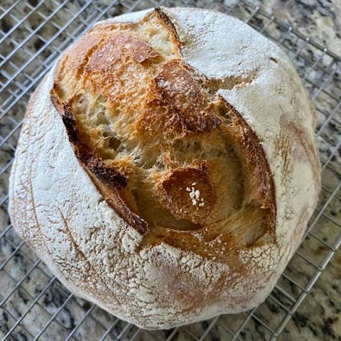 Amanda Meloni made sourdough for the first time du
