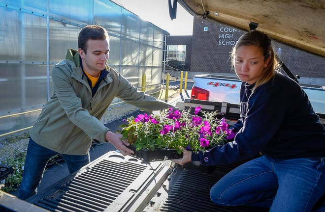 Shipping out the spring plants, J.T. Payne, agriculture teacher and Future Farmers of America advisor hands Rachel Embry a tray of petunias as the local Sureway food store agreed to sell the plants grown by Henderson County High agriculture students after their annual plant sale was cancelled due to school being out because of the COVID-19 pandemic Friday, April 10, 2020.