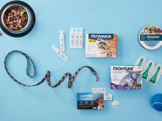 How To Order Pet Supplies Online