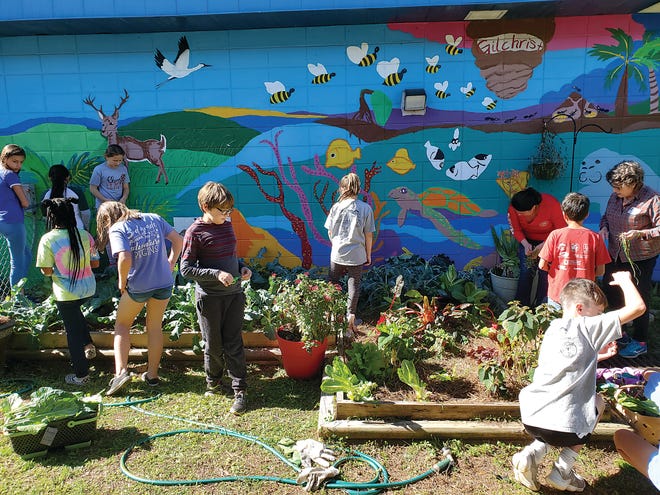Students harvest vegetables and weed the beds at Gilchrist. The mural behind them was painted by Amanda Whitaker's fifth grade students many years ago.