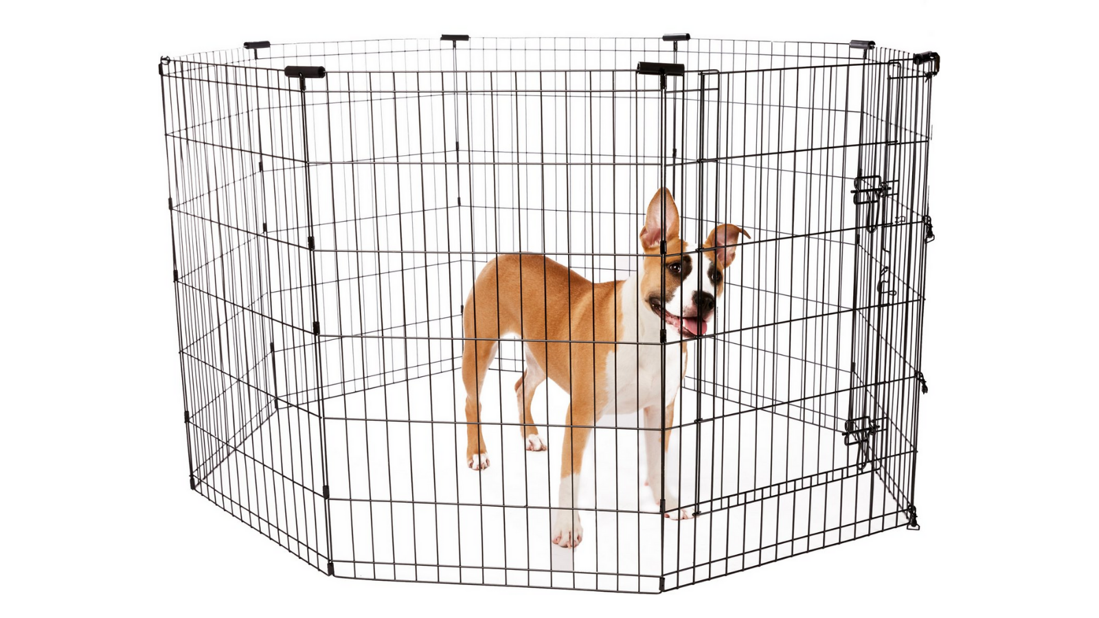 frisco dog exercise pen