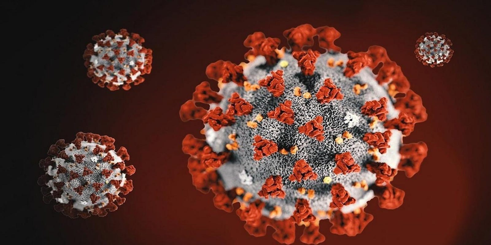 Coronavirus Florida Updates About Covid 19 In Collier County