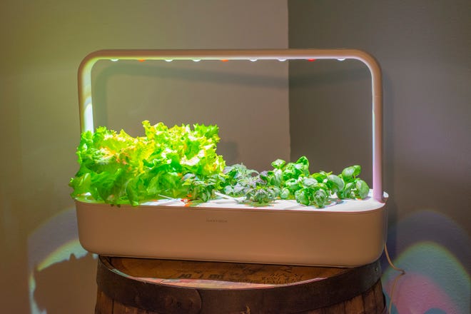 Indoor Garden Grow Lights Watering Systems Get Vegetables Growing Indoor Garden Grow Lights Watering Systems Get Vegetables Growing