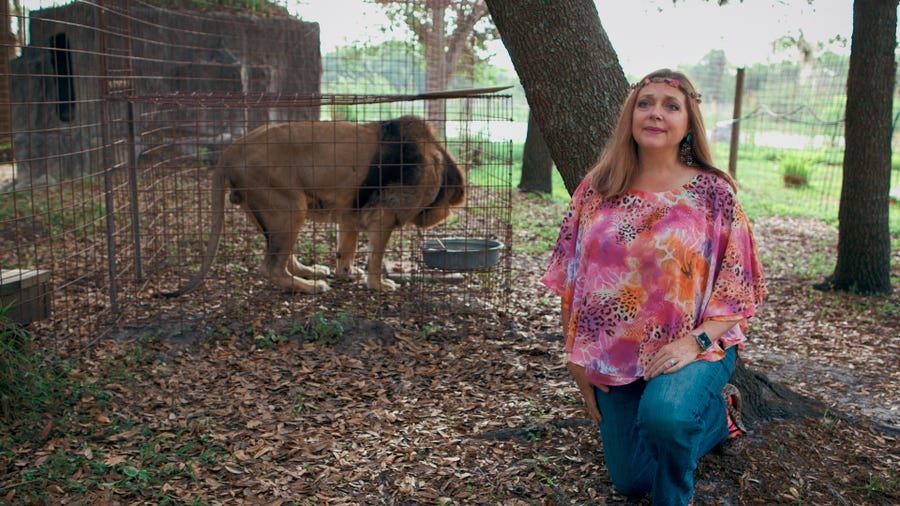 Carole Baskin, the founder of Big Cat Rescue, is featured in the docu-series "Tiger King." She was married to Don Lewis, a man who went missing in 1997.