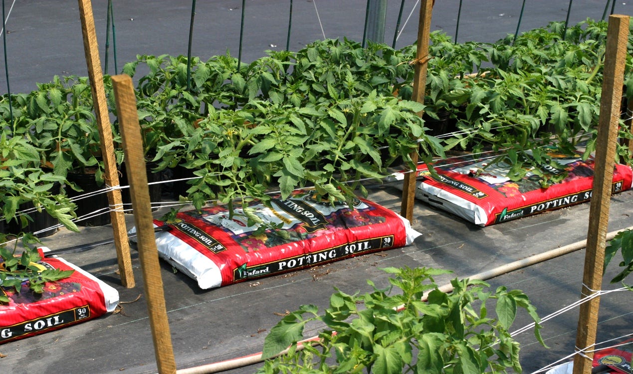Gardening in upstate NY How to tell the soil is ready in the spring