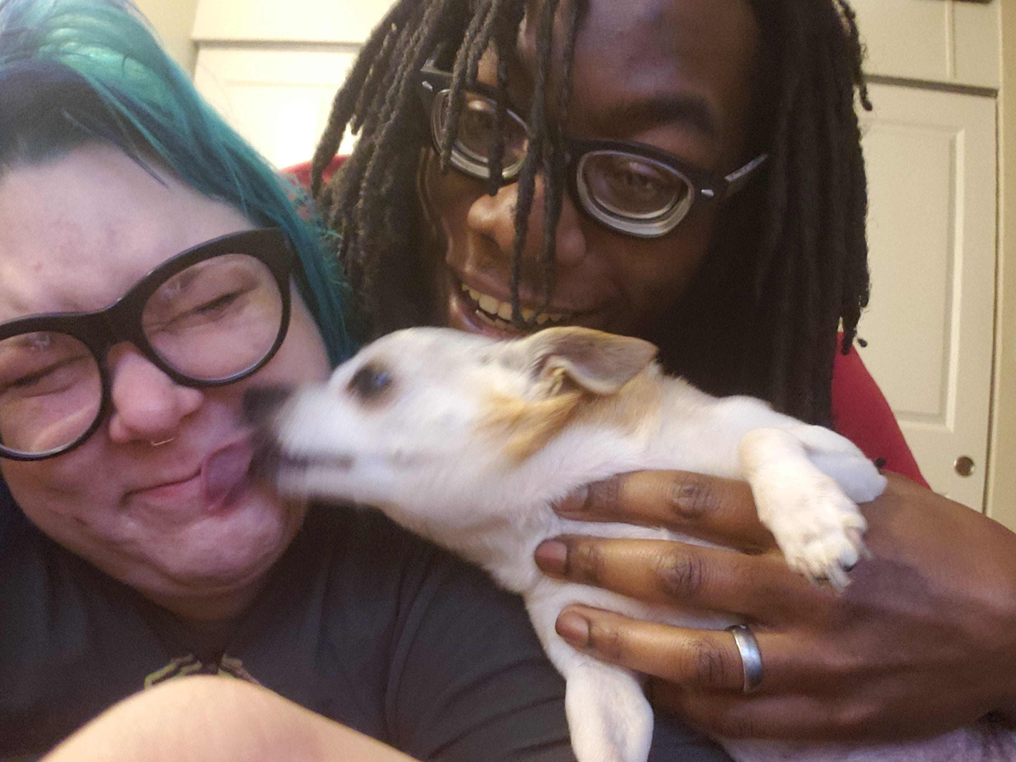 "He was emotional support for me," said Jess, pictured here with Marty and her husband Jon. "When I was having a bad time, he would crawl up on me and lick my face which I don't even like, but I liked it when he did it."