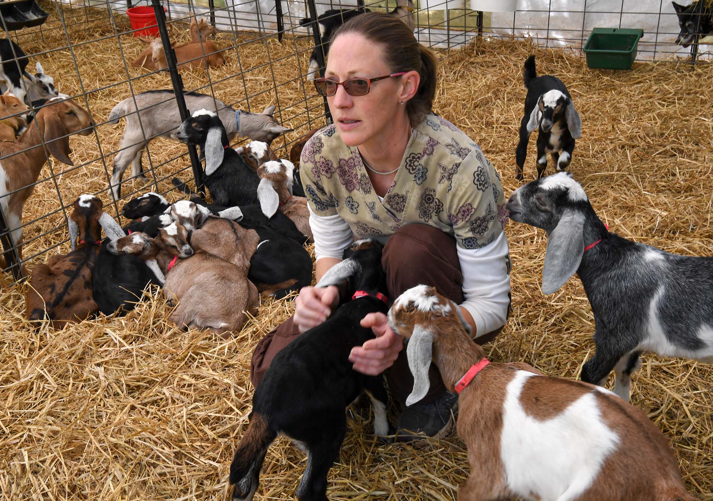 Things To Do In Anderson