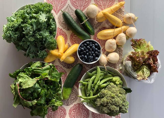 A typical June share of vegetables from New Roots' Fresh Stop Markets.