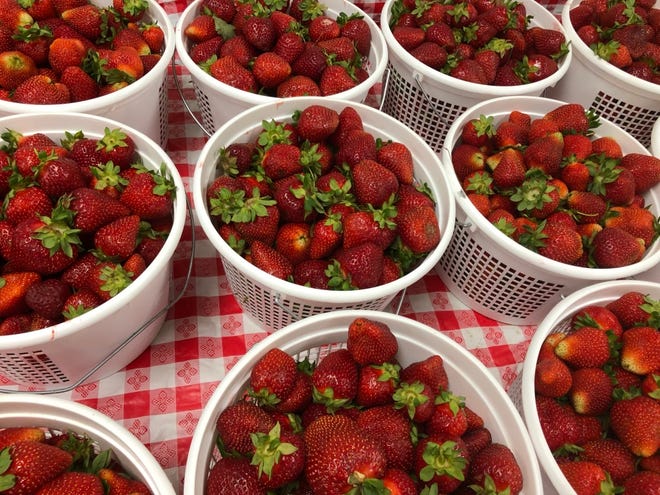 A sample of the Van Meter Family Farm strawberries sold in May.