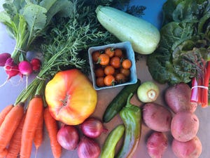 Produce grown at Lucky Crow Farm in Monmouth.