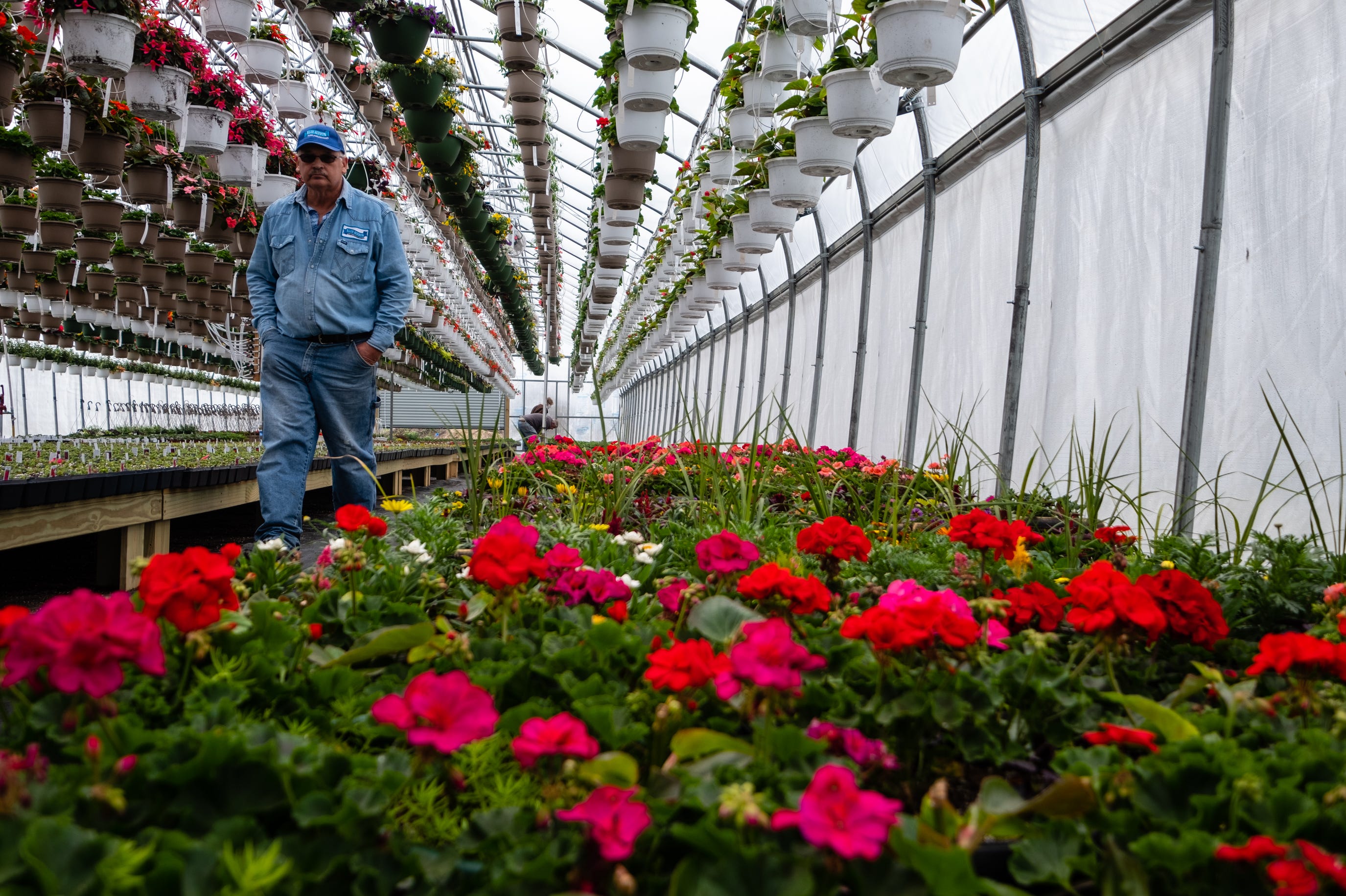 Greenhouse Owners Welcome Revised Order Allowing Them To Reopen