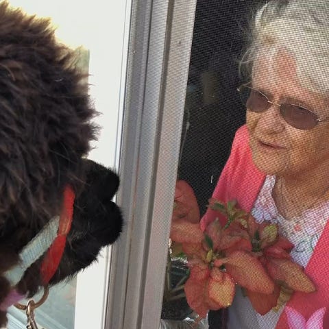 From Scotland to Michigan, alpaca owners are shari