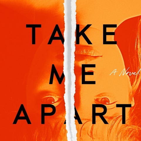 "Take Me Apart," by Sara Sligar.