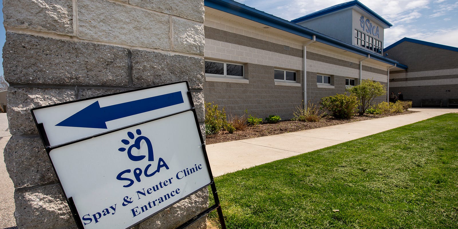 York County SPCA reopens lowcost spay/neuter clinic after coronavirus