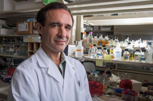 Jeffrey Cirillo is leading a trial into the effectiveness of a tuberculosis vaccine in lessening the severity of the coronavirus. [CONTRIBUTED/Texas A&M University Health Science Center]