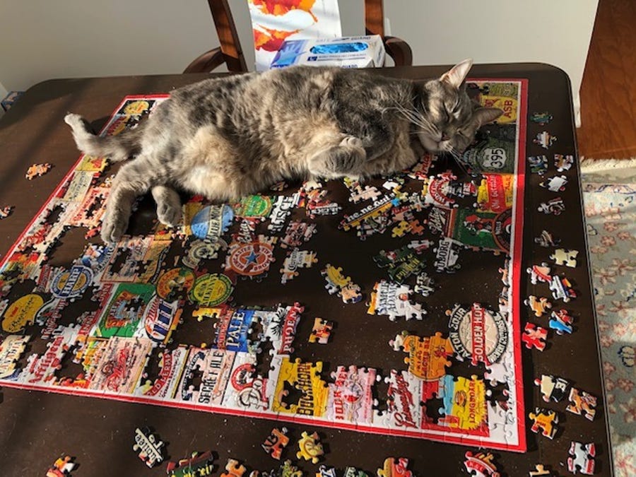 Cat got your ... puzzle piece? 😺