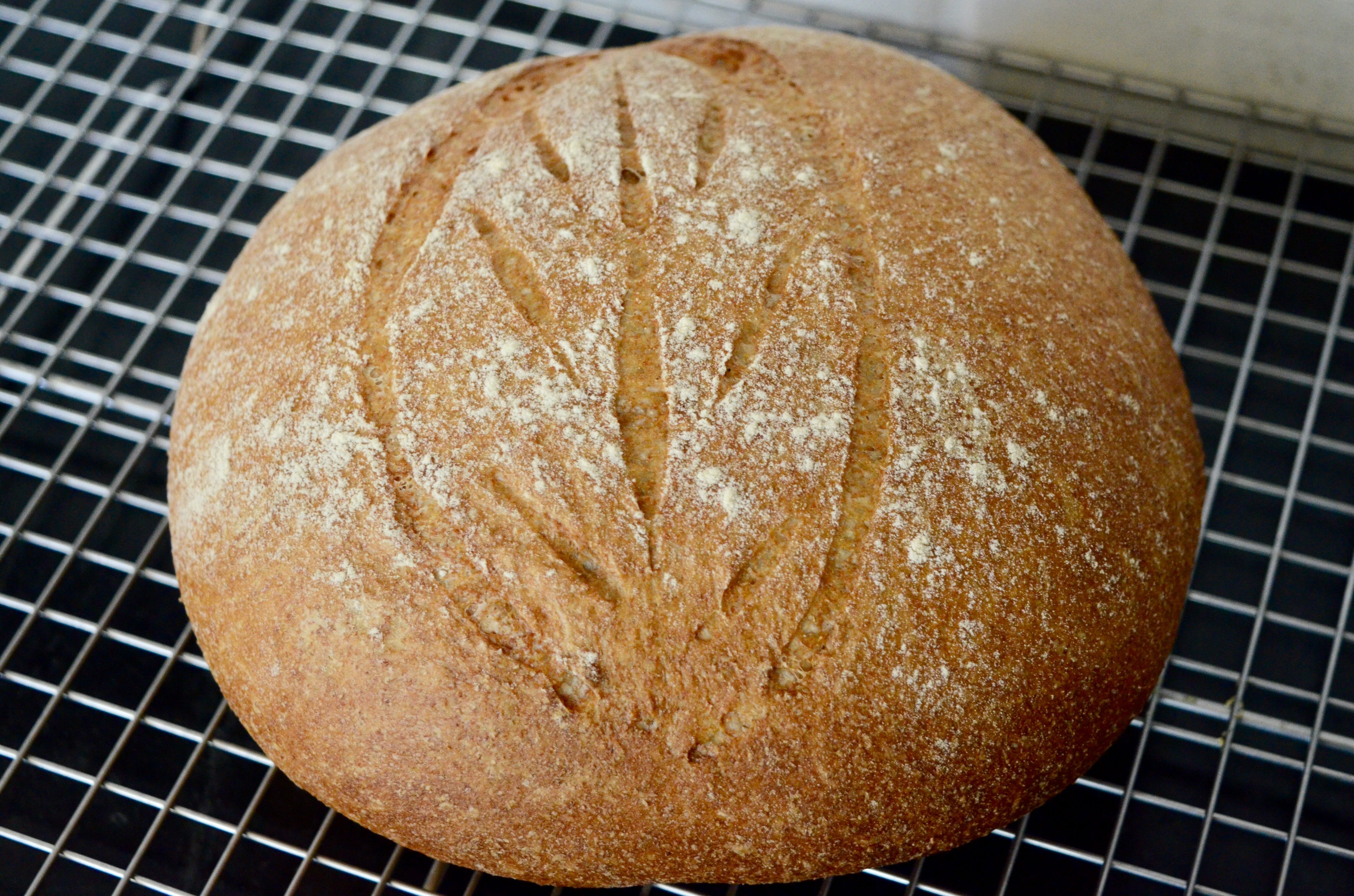 breadmaking
