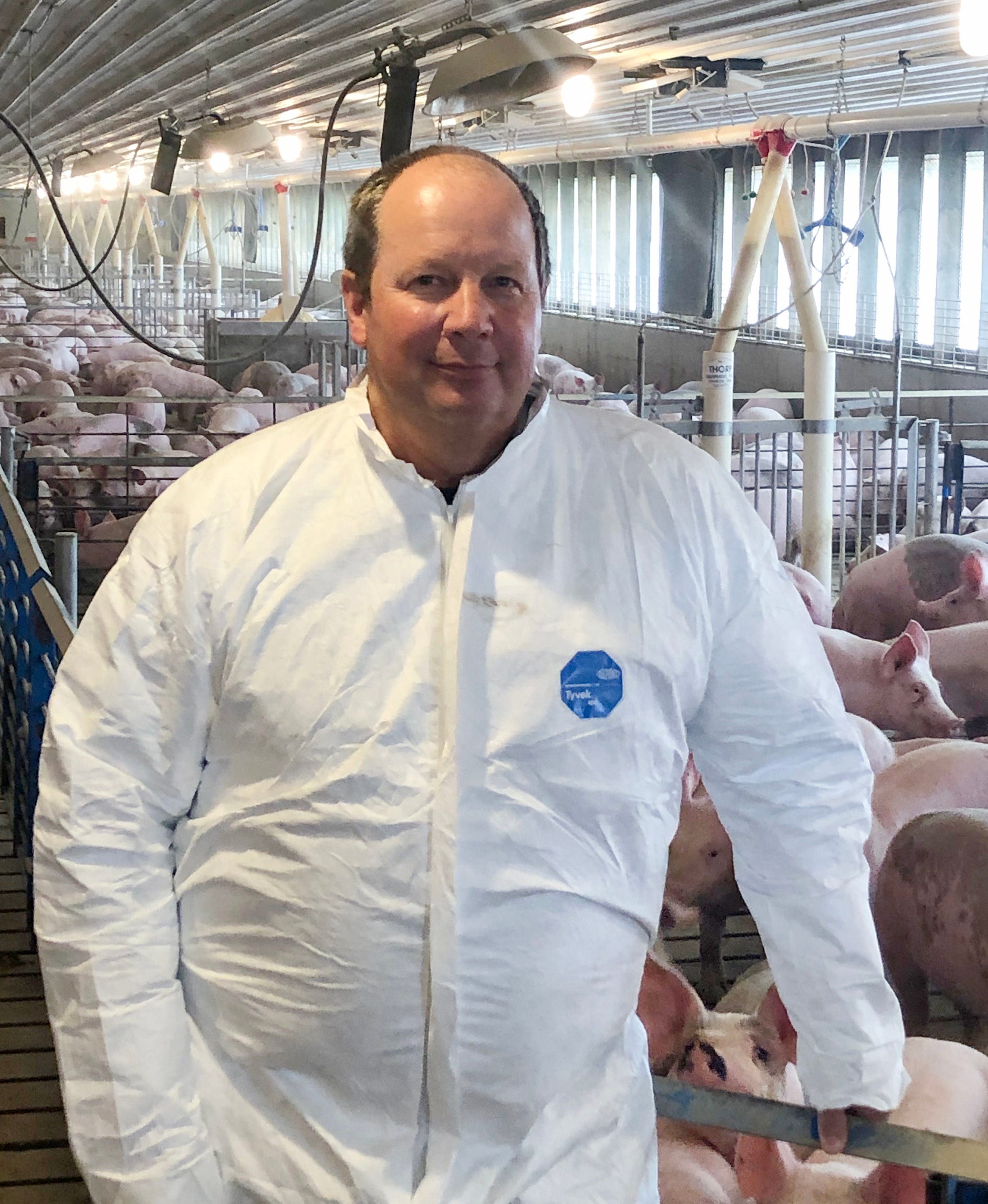 Bob Dykhuis, founder and chairman of Dykhuis Farms Inc. in Allegan County, stands amid the pigs raised on his farm in this April 30, 2020 photo.  The coronavirus pandemic, and resulting reductions in meat processing capability, may force Dykhuis within a month to begin euthanizing pigs that can't be taken to slaughter, he said. 