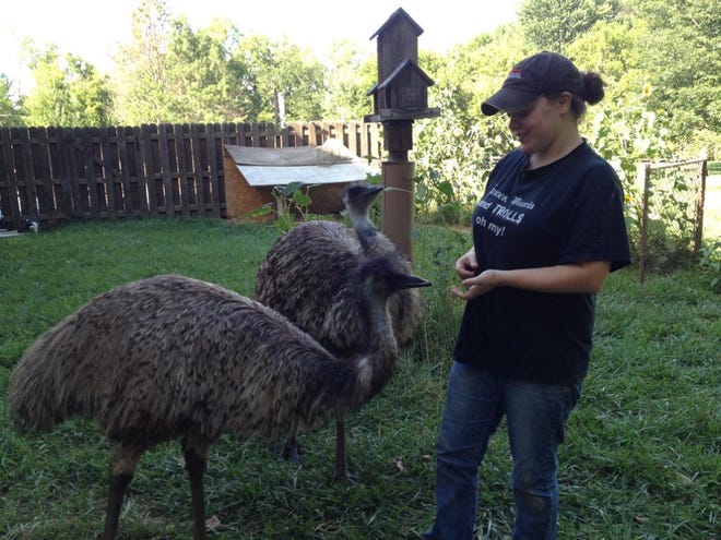 Milford Emu Returns Home After Practicing Good Hygiene Milford Emu Returns Home After Practicing Good Hygiene