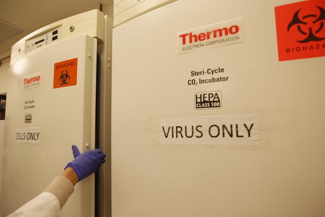 ASU virologist Grant McFadden studies the myxoma virus, which he believes can be turned into a treatment for cancer.