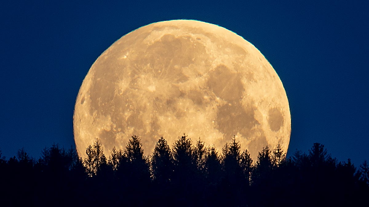 The full moon sets behind trees in the Taunus region near Frankfurt, Germany, May 7, 2020.