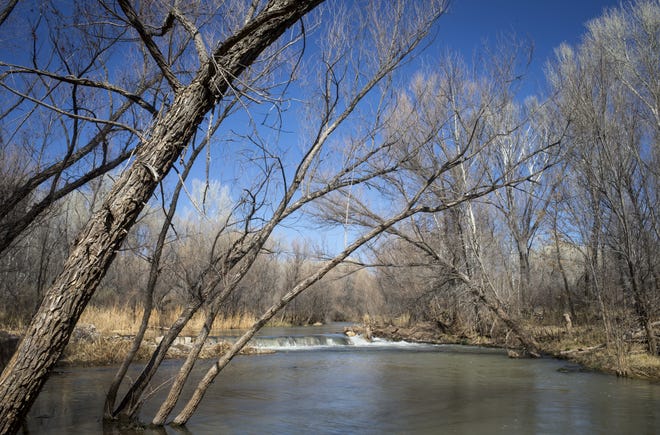 The Verde River at Clear Creek, Camp Verde, Arizona.
