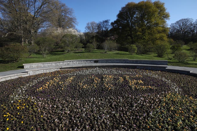 The popular pansy bed of flowers in Highland Park on May 10, which ordinarly would be the opening weekend to the popular Lilac Festival. The pansy bed spells out "HOPE."