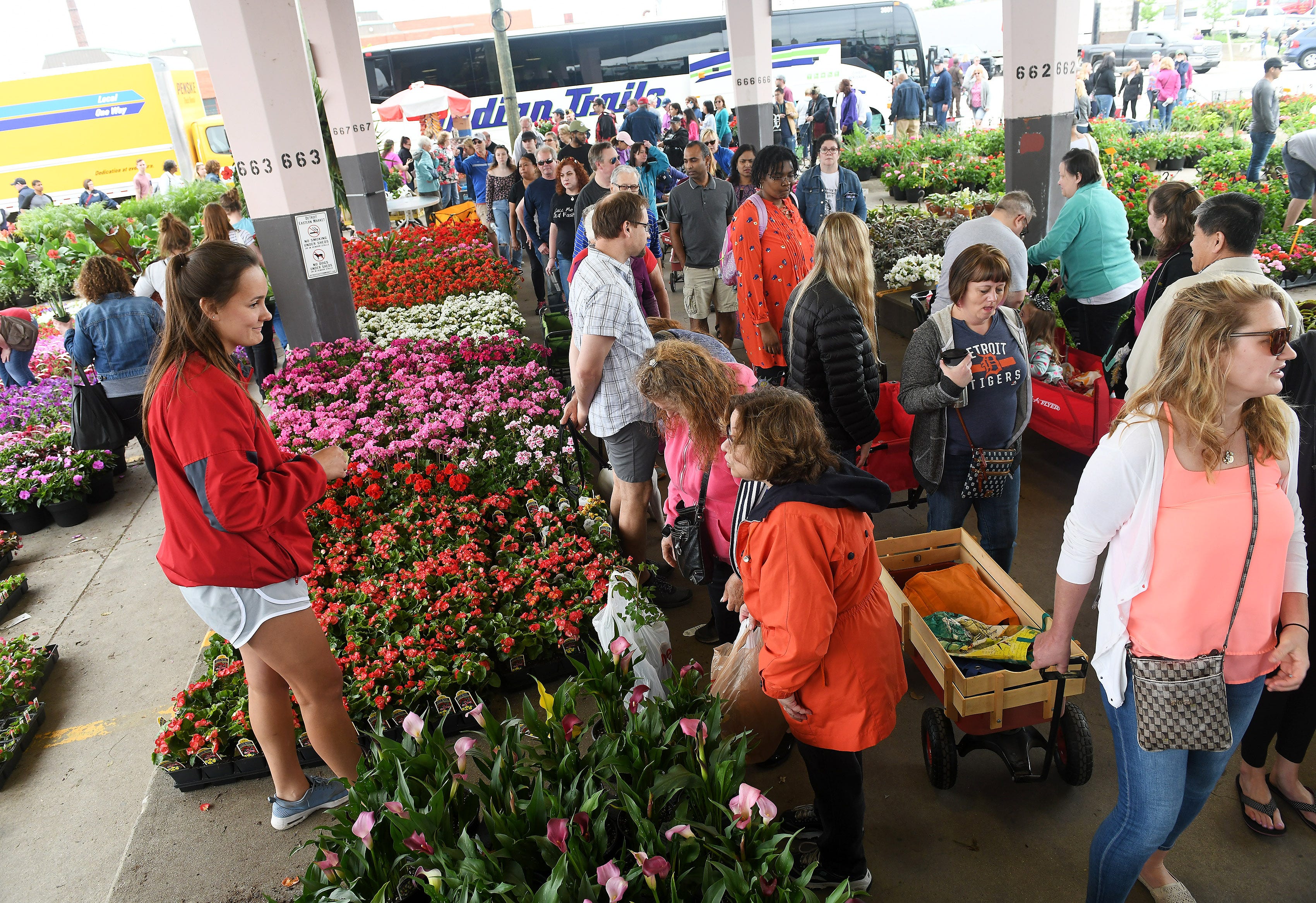 Detroit Eastern Market Flower Day is back after hiatus