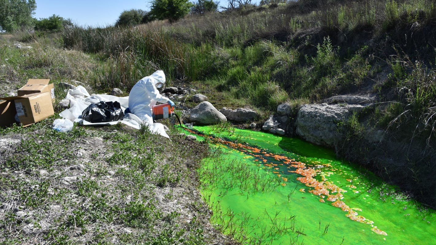 The River ran green: Scientists use dye to trace the Black River's flow in Eddy County - Carlsbad Current Argus