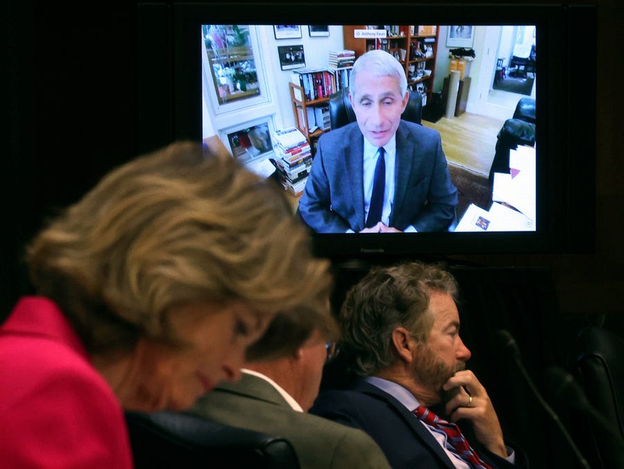 Senators listen as Dr. Anthony Fauci, director of the National Institute of Allergy and Infectious Diseases, speaks remotely during a virtual Senate Committee for Health, Education, Labor, and Pensions hearing, Tuesday, May 12, 2020 on Capitol Hill in Washington. Seated from left are Sen. Lisa Murkowski, R-Alaska, Sen. Mike Braun, R-Ind., center, and Sen. Rand Paul, R-Ky.