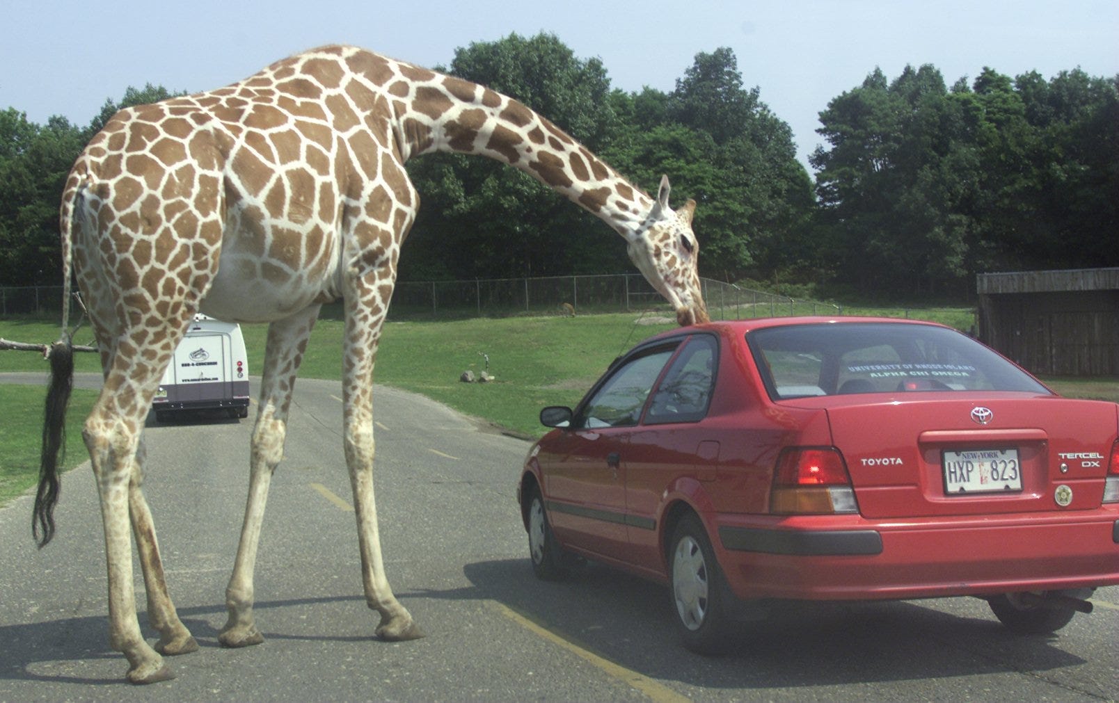 Six Flags Great Adventure Safari 