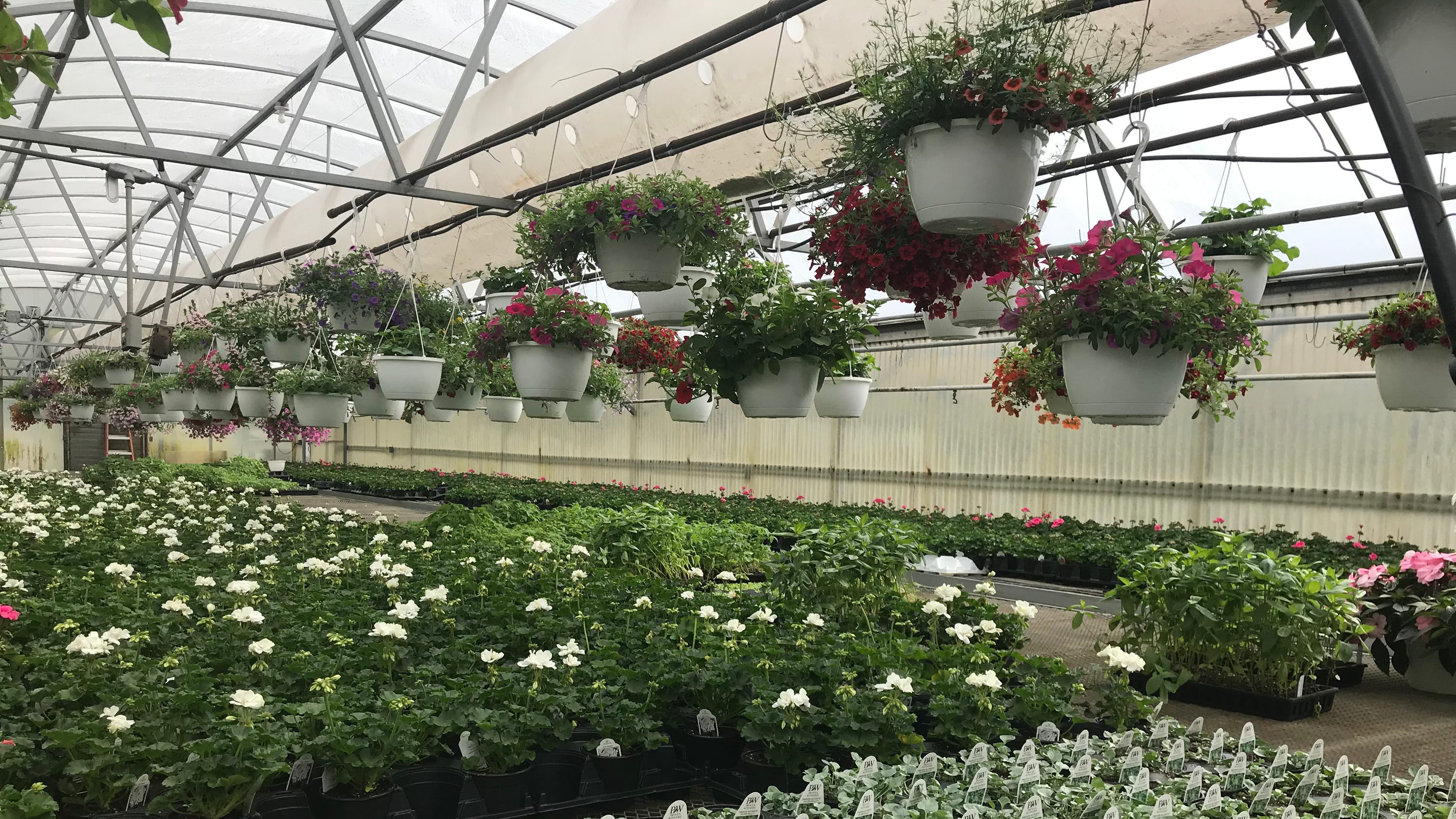 What Garden Centers Are Open In Rochester And They Offer Garden Centers Are Open In Rochester