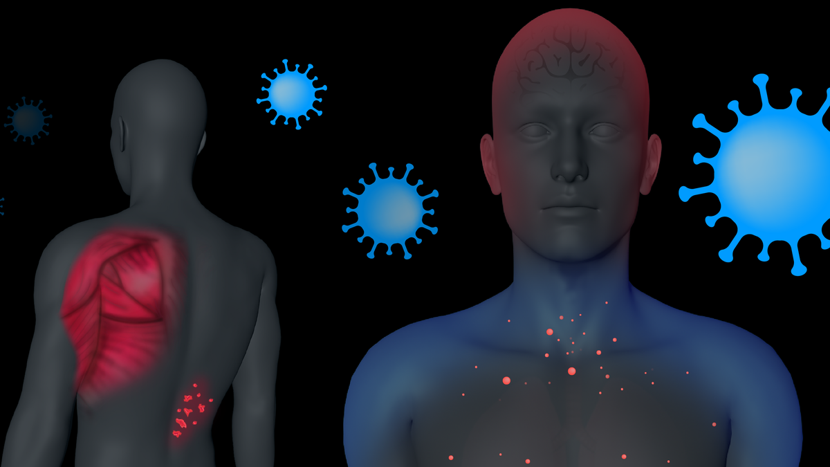 Coronavirus symptoms What are COVID toes? What is