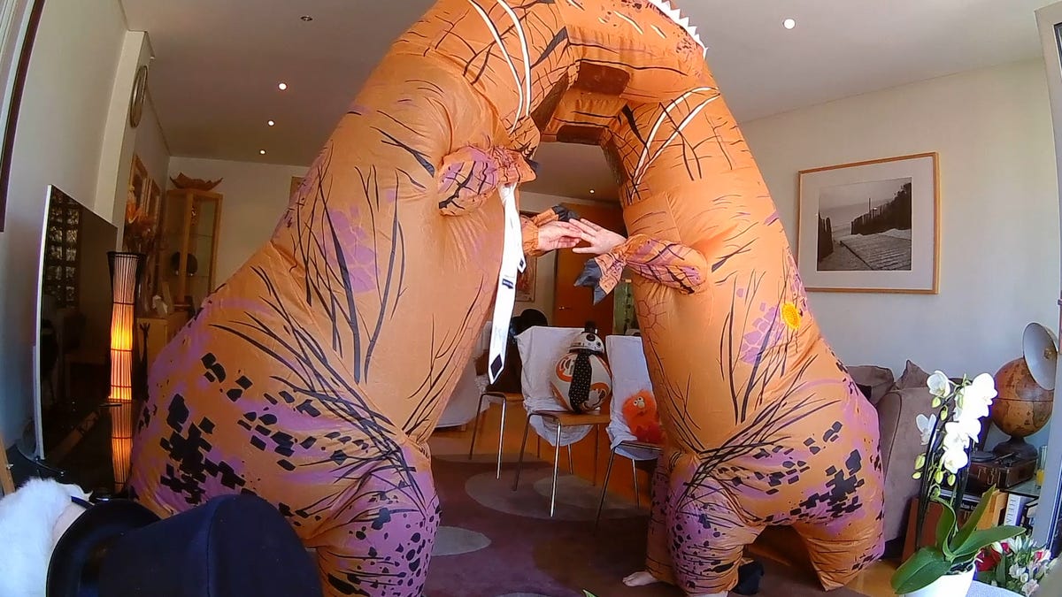 Couples creatively tie the knot during quarantine