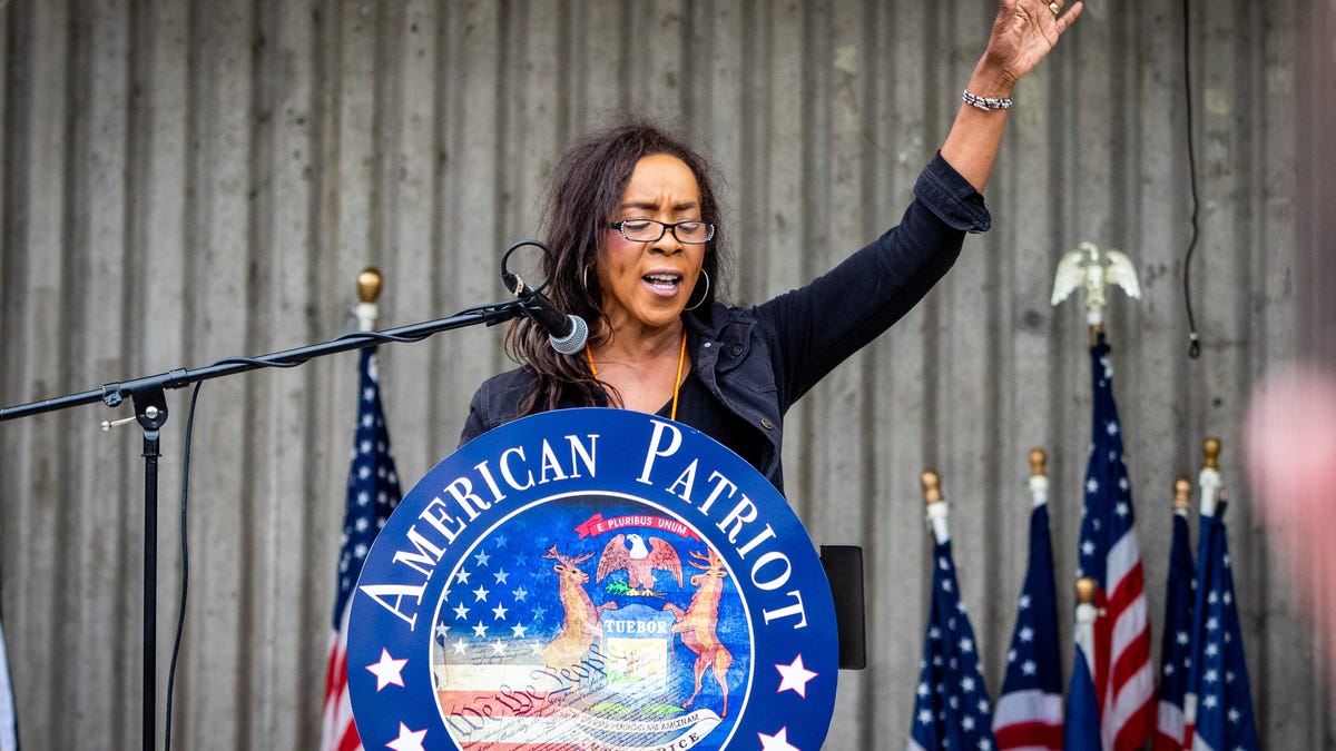 Former Michigan GOP co-chair files to challenge Rogers in U.S ...