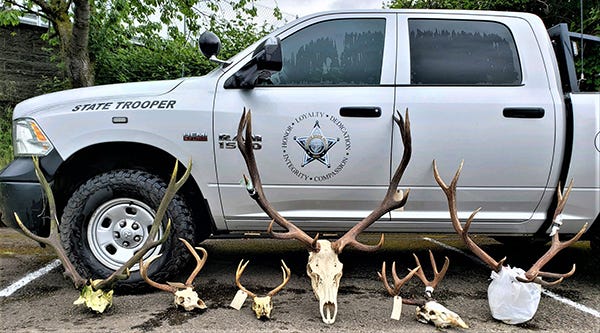 Four Oregonians charged with poaching 27 big game animals Four Oregonians charged with poaching 27 big game animals