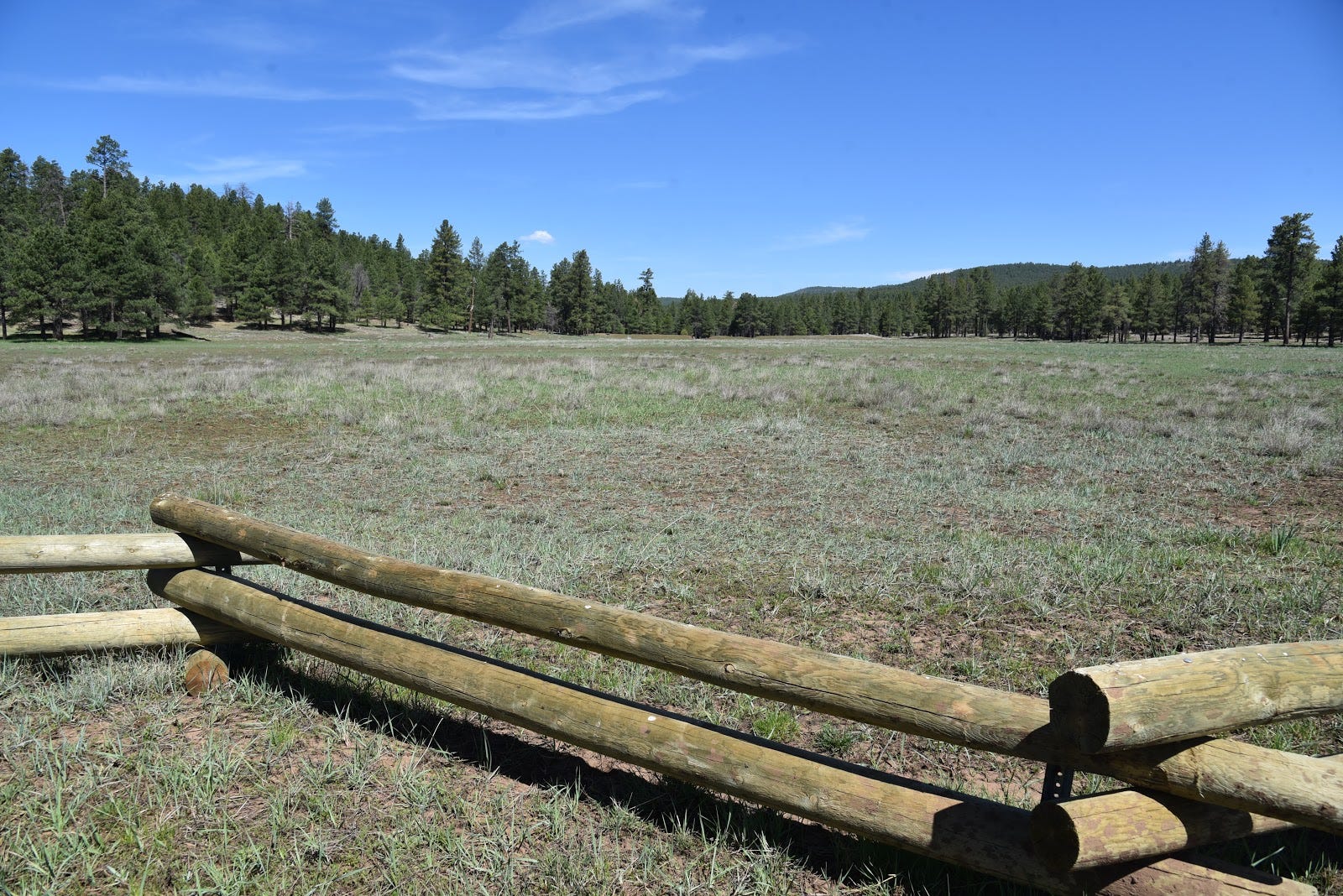 Arizona hike near Flagstaff Munds Canyon Trail in Munds Park