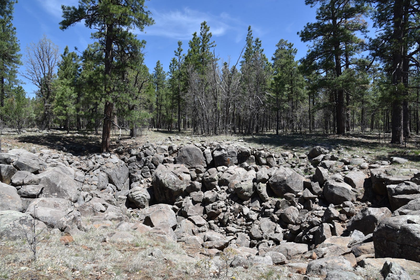 Arizona hike near Flagstaff Munds Canyon Trail in Munds Park