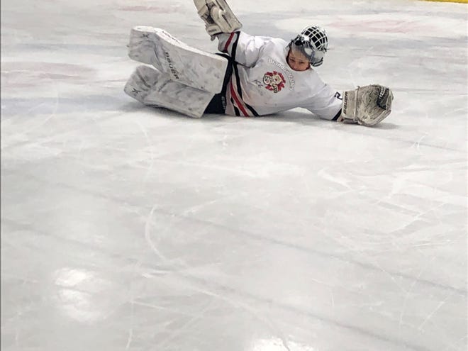 IceCats goalie Joe Weber will be playing Junior A hockey next season for the Toronto Predators.