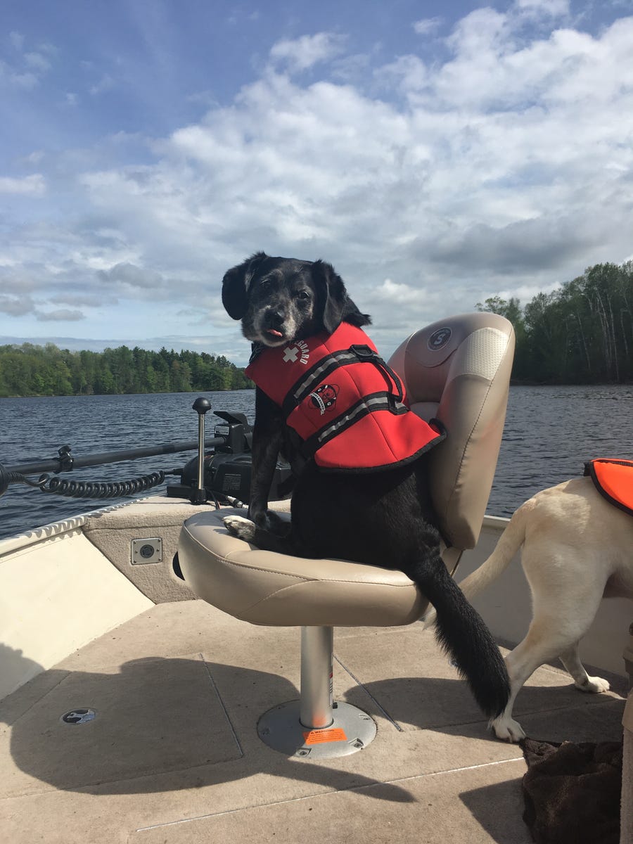 Annie, the obvious captain of this vessel, takes boat safety very seriously.