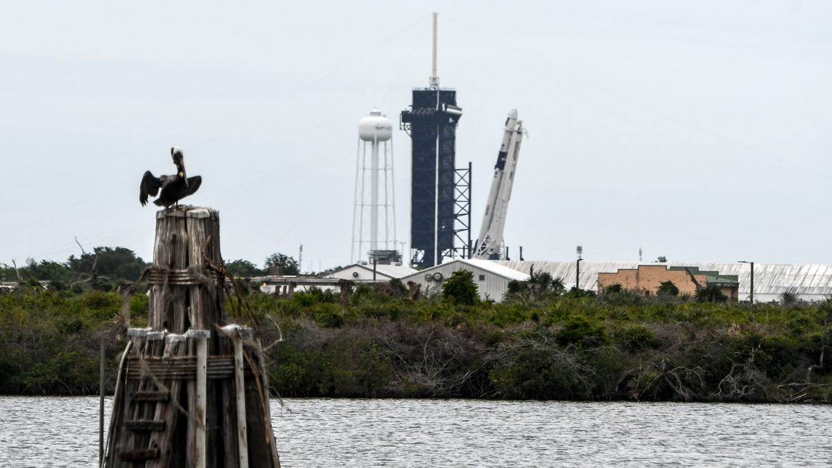 A SpaceX Falcon 9 rocket goes vertical on pad 39A at Kennedy Space Center. The rocket is scheduled to lift off Wednesday afternoon bound for the International Space Station.