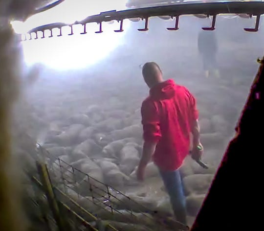 In an image from a Direct Action Everywhere video, a worker is seen walking among apparently dead pigs at an Iowa Select Farms facility with a bolt gun.