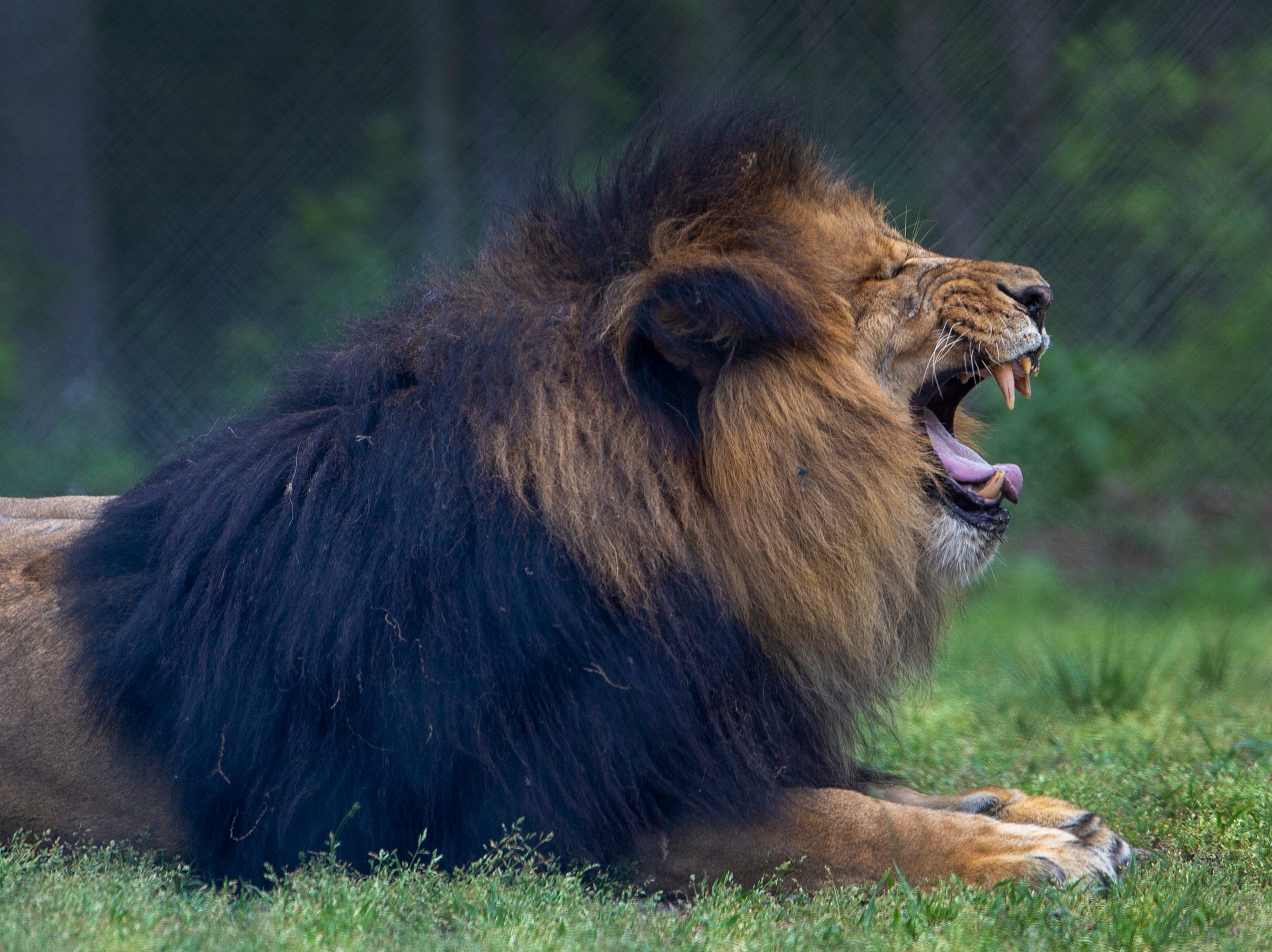 Get COVID vaccine, earn free tickets to Six Flags Great Adventure