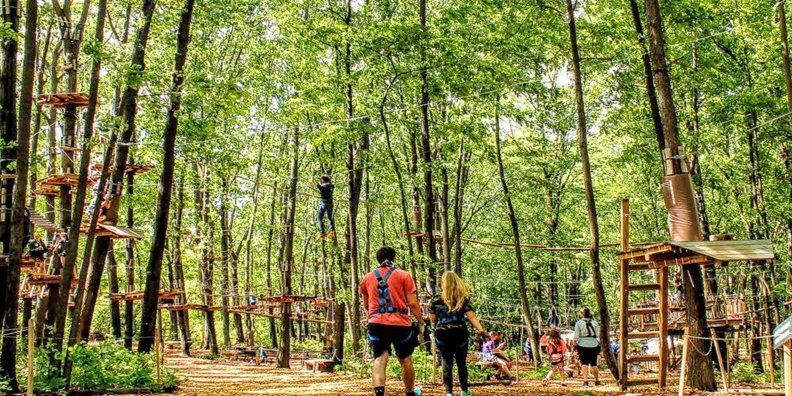 TreeRunner Adventure Park to open in West Bloomfield